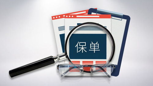 车险电子保单视频 希财网