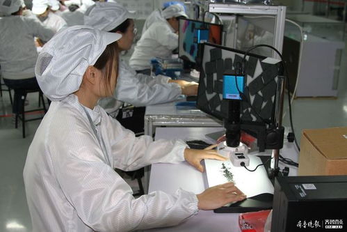 冲刺年度目标,海富电子年底还将产百万条传输线