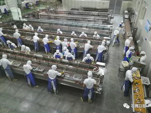 东埔村 电子产业微型基地的崛起与挑战